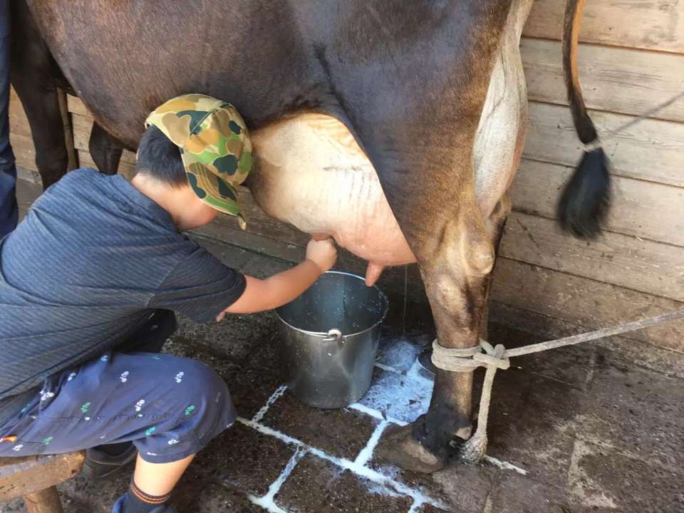 国际搬家